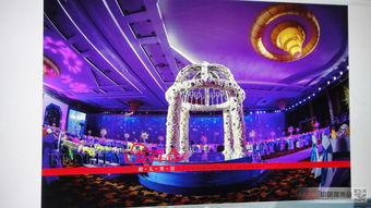 探店红百合婚礼策划 一站式婚礼筹备策划体验